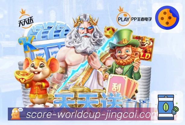 奖项证书